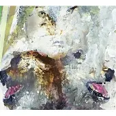 Konkurrent These Arms Are Snakes - Tail Swallower And Dove (LP) (Coloured Vinyl) (Limited Edition)