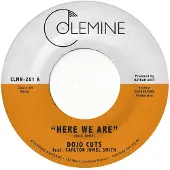 Import Here We Are Vinyle Coloré