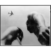 Konkurrent Eve Adams - Metal Bird (LP)