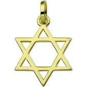 Trendjuwelier huiscollectie 4001562 Gouden bedel Davidster
