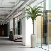 Maxifleur Kunstplanten Majesty kunstpalm x10 YG-Trunk 300cm