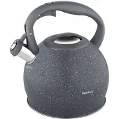 Klausberg KB-7321 fluitketel - 2L - rvs - alle warmtebronnen