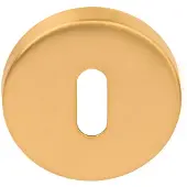 Formani BASICS LBN50D sleutelplaatje 10mm dik PVD mat goud