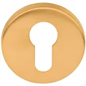 Formani BASICS LBY50 cilinderplaatje 6mm PVD mat goud