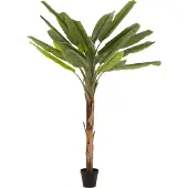 J-Line 22028 Bananenboom Plastiek Groen/Bruin 250 cm