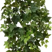 Maxifleur Kunstplanten Hedera kunst hangplant 100cm - groen