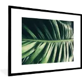 PosterMonkey Fotolijst incl. Poster - Bladeren - Tropisch - Jungle - 80x60 cm - Posterlijst