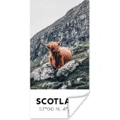 PosterMonkey Poster Schotland - Schotse Hooglander - Bergen - 20x40 cm