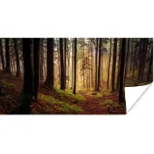 PosterMonkey Poster Bomen - Natuur - Bos - 120x60 cm