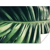 PosterMonkey Poster Bladeren - Tropisch - Jungle - 40x30 cm