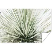 PosterMonkey Poster Groen - Bladeren - Natuur - 180x120 cm XXL