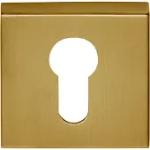 Formani Basics BSQY53 cilinderplaatje vierkant - PVD mat goud