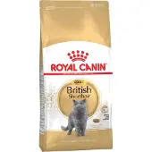 Royal Canin Droogvoer kat british shorthaar adult 10 kg Royal Canin online kopen