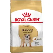 Royal Canin Bulldog Adult