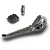 Murray 18V Leaf Blower Kit