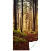 PosterMonkey Poster Bomen - Natuur - Bos - 75x150 cm