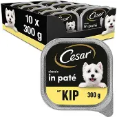 Cesar 10x Classic Kuipje Paté Kip - Hondenvoeding - 300g