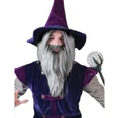 Funny fashion Grijze magier pruik met baard - Verkleedpruiken