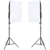 vidaXL Studiolampen 2 st professioneel 40x60 cm