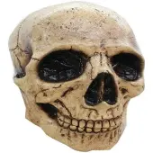 WAYS TOYS Partychimp Gezichtsmasker Skull Tan 3 Pvc Ivoorwit One-size