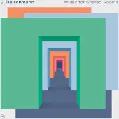 Konkurrent B. Fleischmann - Music For Shared Rooms (2 LP)