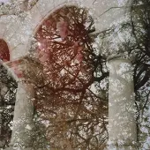 Konkurrent Mary Lattimore & Growing - Gainer (LP) (Coloured Vinyl) (Limited Edition) (Remastered)