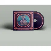 Konkurrent The Soft Pink Truth - Was It Ever Real? (CD) (Limited Edition)