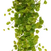 Maxifleur Kunstplanten Populier kunst hangplant 170cm