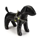 Beeztees Spira - Hondentuig - Lichtgroen - 46-75 cm