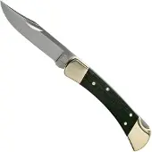 Buck Knives Buck Folding Hunter