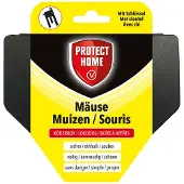 Protect Home Muizen lokdoos |