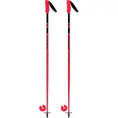 Rossignol Hero Sl Stokken