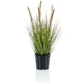 Emerald Kunstplant Pennisetum Grass
