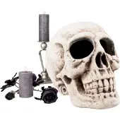 Boland Skelet hoofd Masterbrain (naturel)