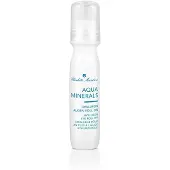 Charlotte Meentzen Aqua Minerals Hyaluron Augen Roll-On Oogcrème 15 ml
