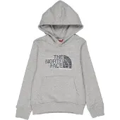 The North Face Kids Drew Peak Overhead Hoodie in Grijs