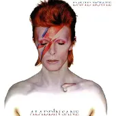Warner Music David Bowie - Aladdin Sane | LP