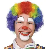 GoDan S.A Pruik clown multikleur volwassenen