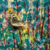 Suburban Racing A Butterfly