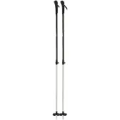 Rossignol Adjustable Bc 100 Stokken