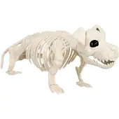 Boland Honden skelet deco | Halloween 52cm (naturel)