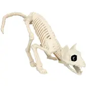 Boland - Decoratie Skelet kat - Horror - Horror