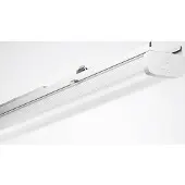 Trilux 7651 HE#9002072941 LED tandwielbak 1475mm 830 (Wit)