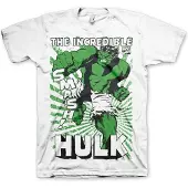 Marvel The Hulk Heren Tshirt -S- Smash Wit