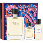 Hermès Paris Terre d'Giftset - 100 ml eau de toilette spray + 12,5 ml eau de toilette spray + 40 ml aftershave balm - cadeauset voor heren