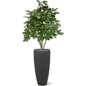 Maxifleur Kunstplanten Vijgen kunstboom 120cm