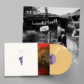 Konkurrent Sharon Van Etten - We've Been Going About This All Wrong (2 LP) (Deluxe Edition)
