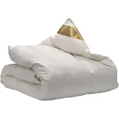 Ten Cate 4-Seizoenen Ganzendonzen dekbed Lena | satijn wit 220x200 cm dekbedden | NADUVI