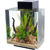 Fluval Edge Led 2.0 46l Aquariumset