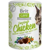 Brit 3x100g Cat Snack Superfruits & Kip Kattensnacks
